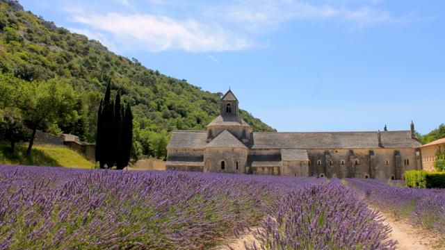 Abbaye De Senanque Gordes Provence C Chillio