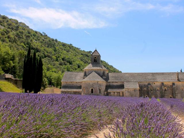 Abbaye de Sénanque