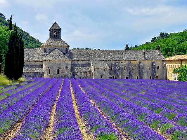 abbayedesenanque-luberon-provence-amouton-1.jpg