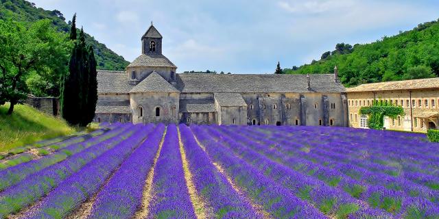 abbayedesenanque-luberon-provence-amouton.jpg