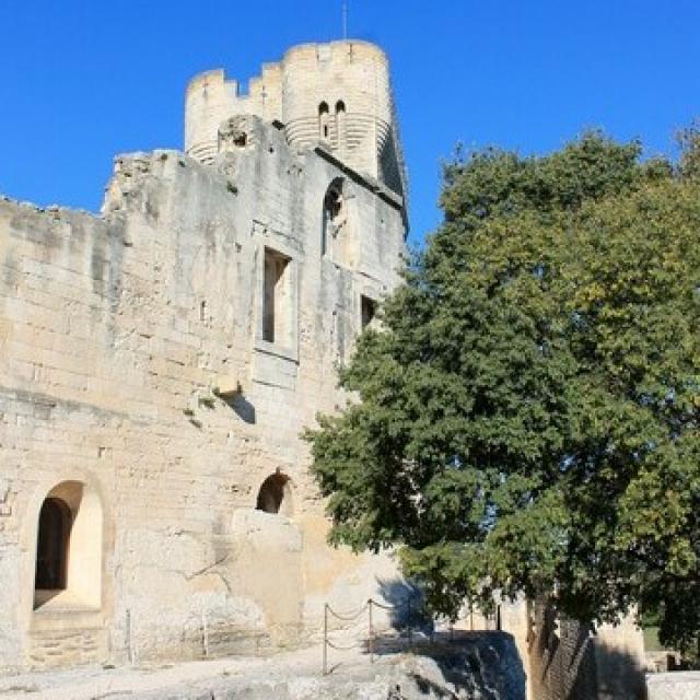 Abbayemontmajour Arles Provence Cmarchand