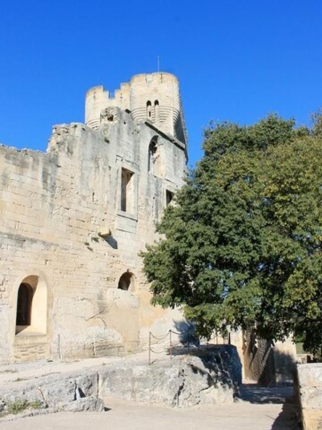 abbayemontmajour-arles-provence-cmarchand.jpg