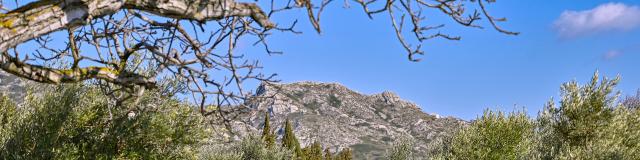 Alpilles Provence P Magoni