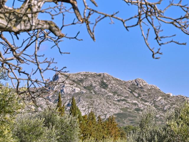 Alpilles Provence P Magoni