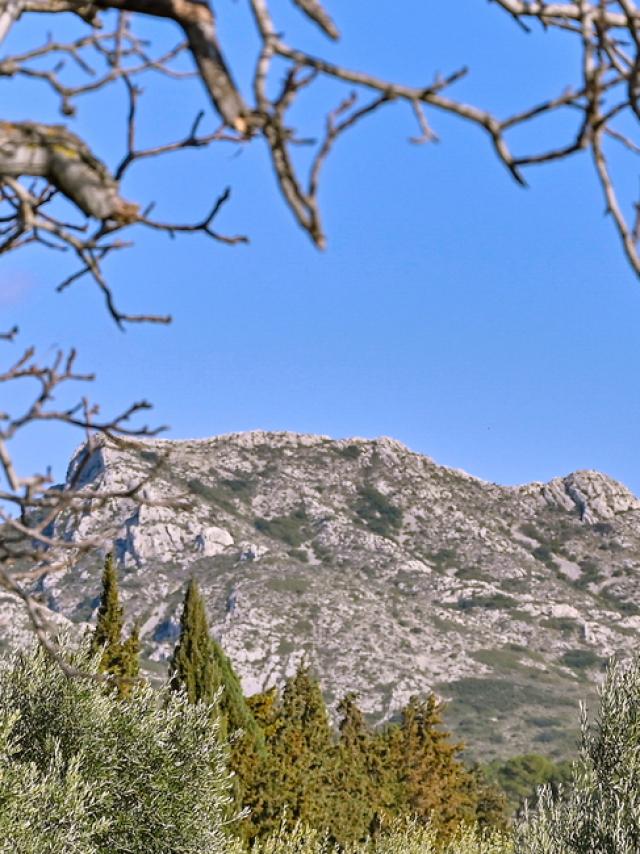 Alpilles Provence P Magoni