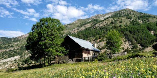 Arvieuxenqueyras Hautesalpes Pnr Queyras Destination Queyras Herin 1