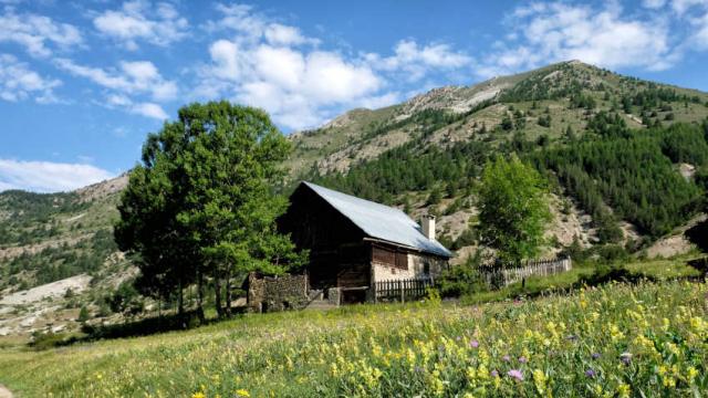 Arvieuxenqueyras Hautesalpes Pnr Queyras Destination Queyras Herin 1