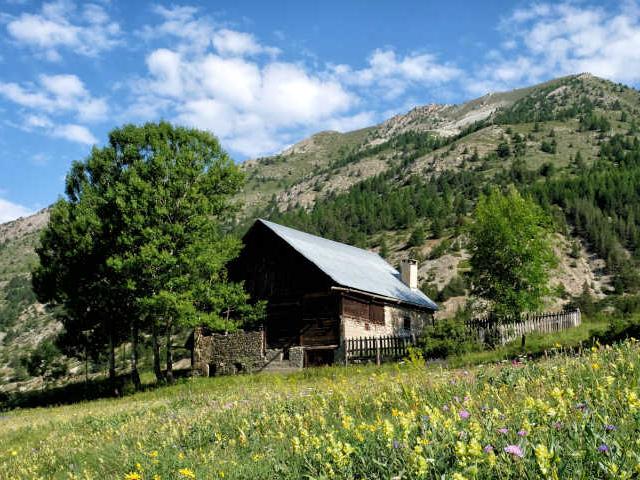 Arvieuxenqueyras Hautesalpes Pnr Queyras Destination Queyras Herin 1