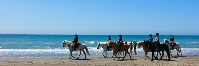 balade-cheval-plage-camargue-cchillio-3.jpg