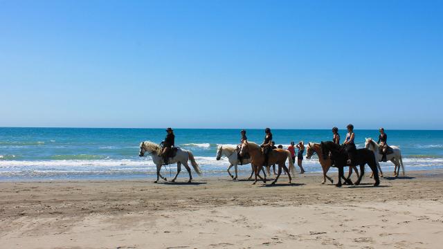 balade-cheval-plage-camargue-cchillio-3.jpg