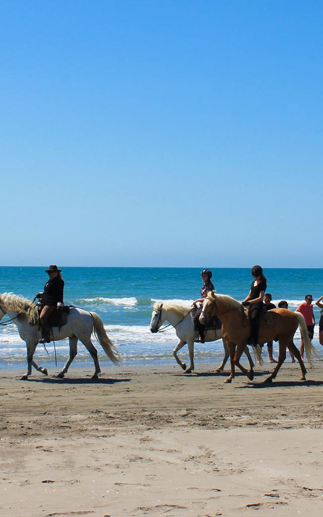 Balade Cheval Plage Camargue Cchillio