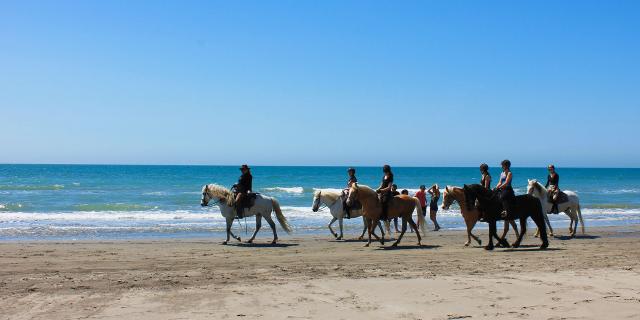 Balade Cheval Plage Camargue Cchillio