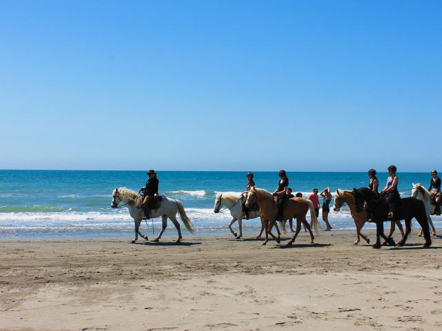 Balade Cheval Plage Camargue Cchillio