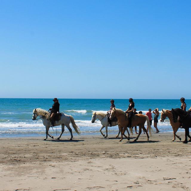 Balade Cheval Plage Camargue Cchillio