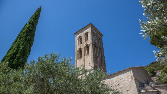 beaumes-de-venise-provence-p-violet-f11807195.jpg