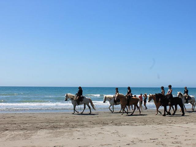 Camargue Balade Saintesmariesdelamer Cchillio