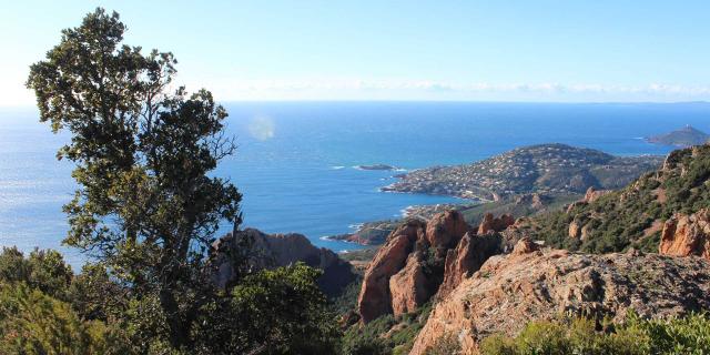 Cap Roux Esterel Cote D Azur 1