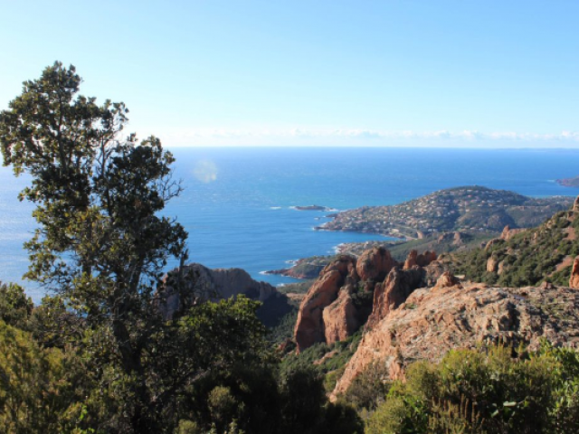 cap-roux-esterel-cote-d-azur-557x400-2.png