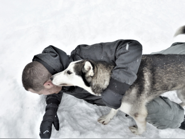 chiens-de-traineau-crevoux-alpes-mdi-duca-6-1.png