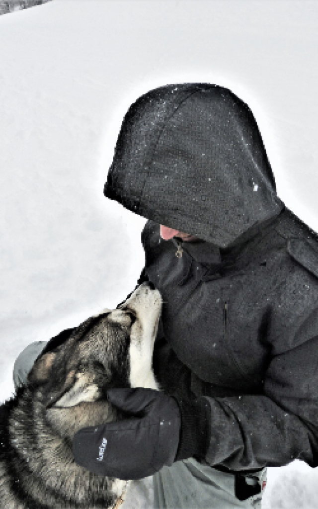 chiens-de-traineau-crevoux-alpes-mdi-duca-9-1.png