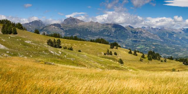 Panoramic view on the Champsaur Valley in summer from Gleize Pass. Hautes-Alpes, Southern French Alps, Paca Region, France