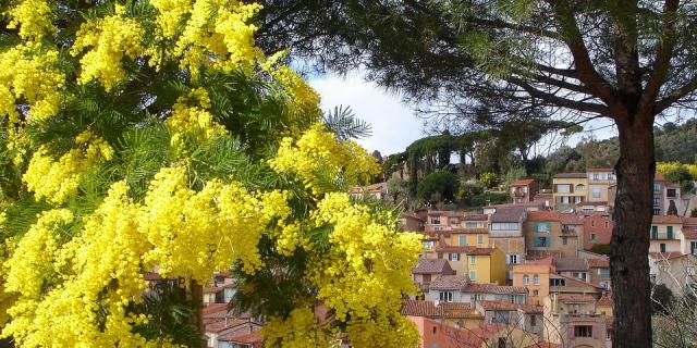 Copyright Omt Bormes Vieux Village De Bormes 1080x480px 1