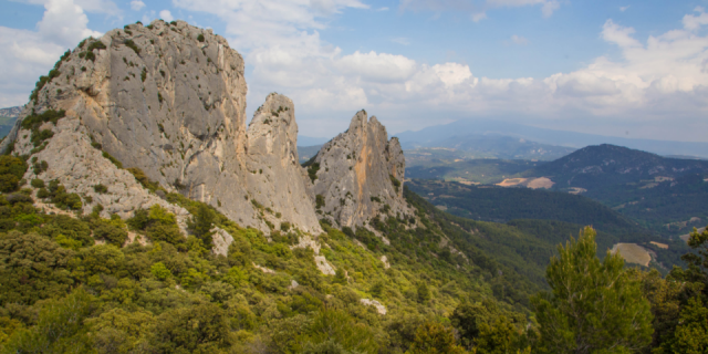 Dentelles De Montmirail Copyright Hocquel Alain Vaucluse Provence 13755 1