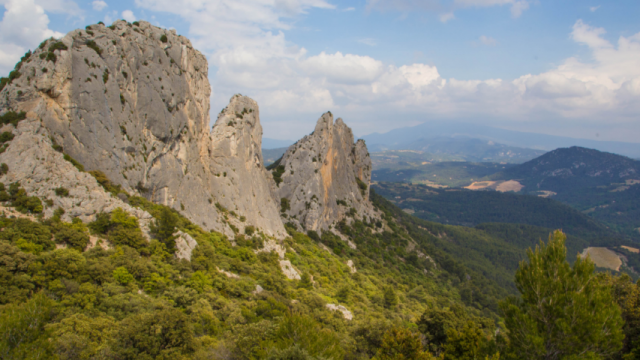 dentelles-de-montmirail-copyright-hocquel-alain---vaucluse-provence-13755-1.png