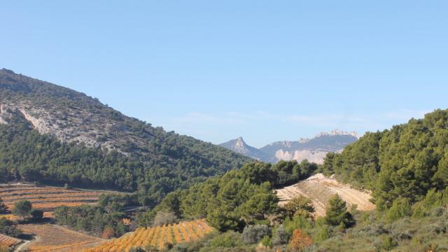 Dentelles De Montmirail Provence C Chillio C