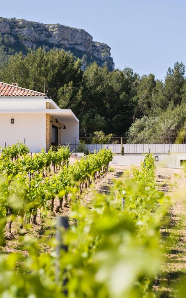 Domaine La Dona Tigana 3