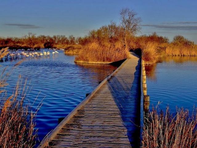 ecotourisme-etangs-camargue-paca-amouton-1-1.jpg