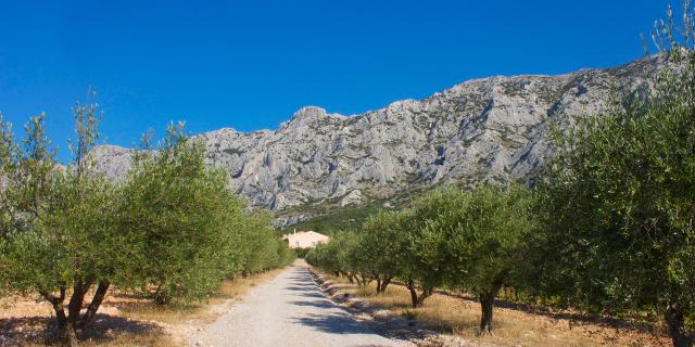 espaces-naturels-provence-1.jpg