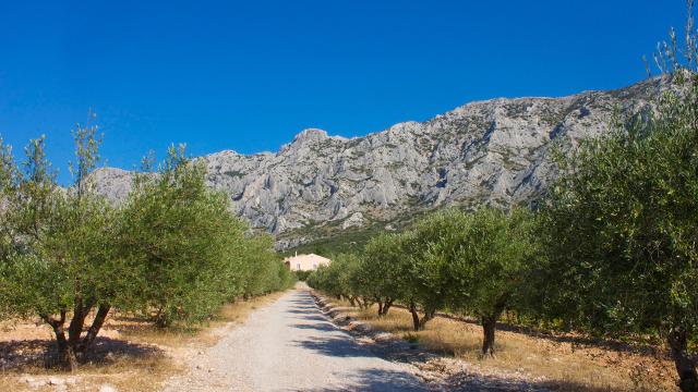 Espaces Naturels Provence