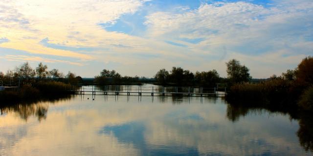 Etang Camargue Provence C Chillio