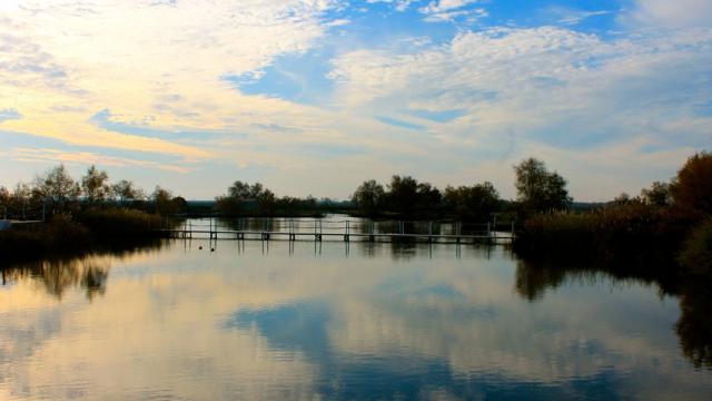 etang-camargue-provence-c-chillio.jpg