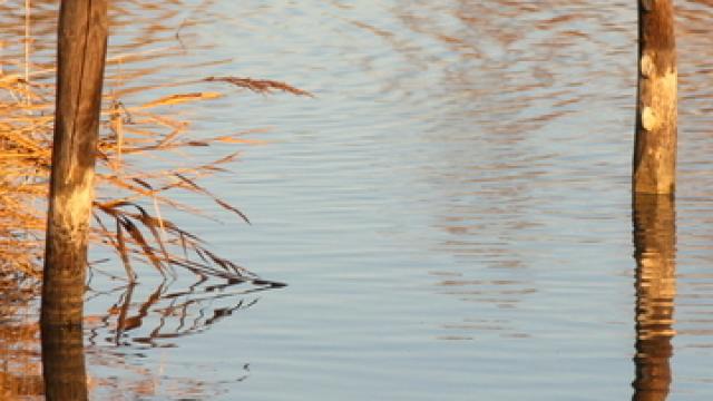 etang-camargue-provence-v-evrard.jpg