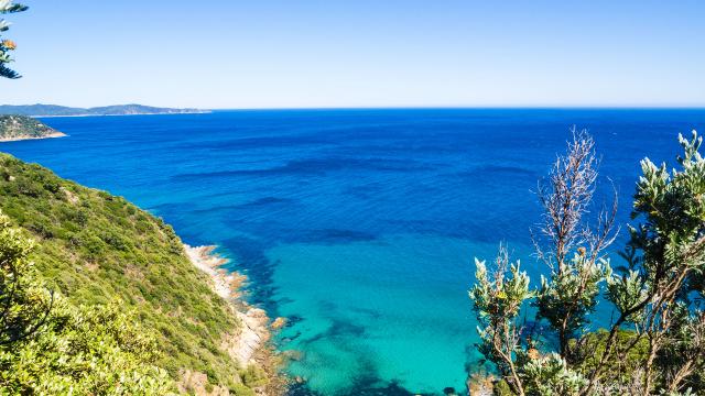 Fenouillet Cavalaire Sozolins