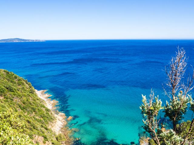 Fenouillet Cavalaire Sozolins