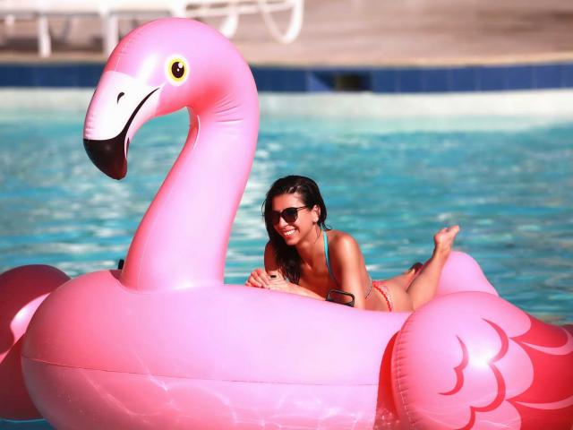 flamingo-3654498-1920-8.jpg