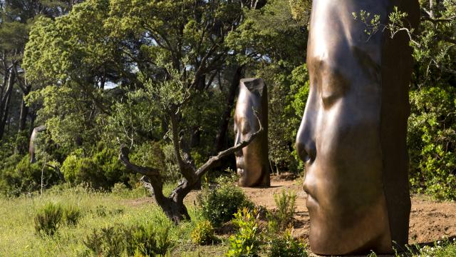 Fondation Carmignac