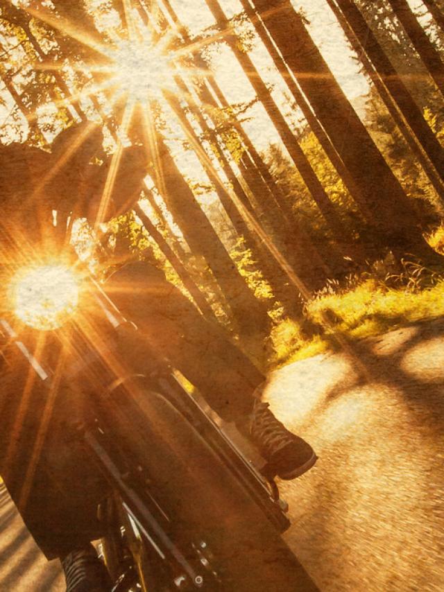 Man seat on the motorcycle on the forest road.