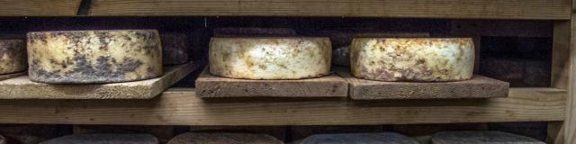 fromages-alpes-adet05-patdomeyne-2-1.jpg