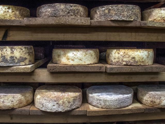 fromages-alpes-adet05-patdomeyne-2-1.jpg