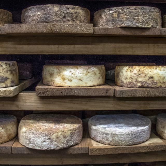 Fromages Alpes Adet05 Patdomeyne 2