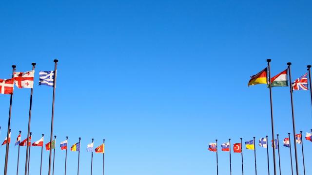 international flags in the wind against the sky