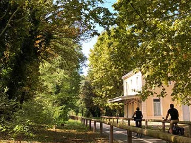 Itineraire Mediterranee A Velo Voie Verte Calavon Velo Loisir Provence 1