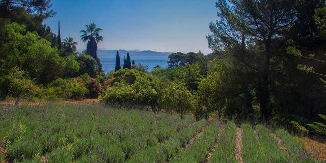 Jardin Mugel Laciotat Provence Amouton