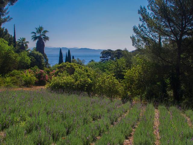 Jardin Mugel Laciotat Provence Amouton