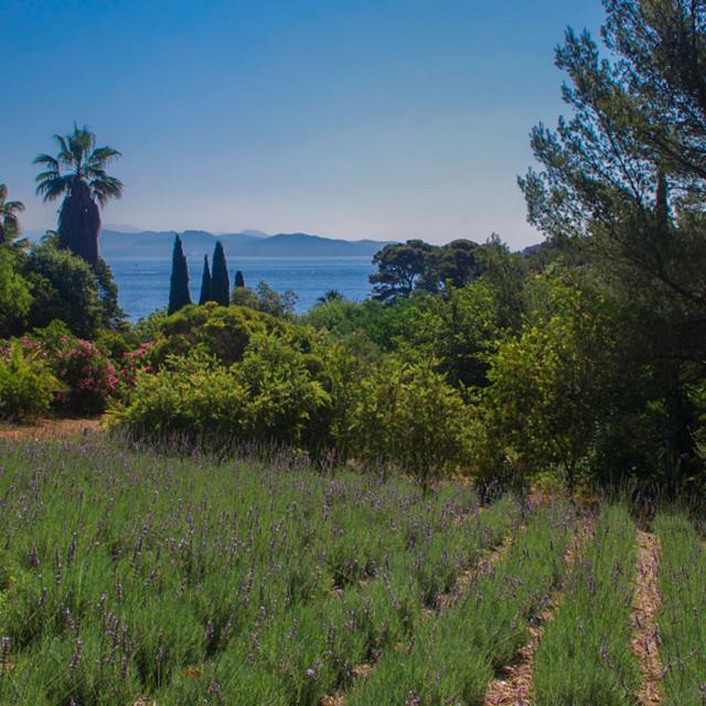 Jardin Mugel Laciotat Provence Amouton