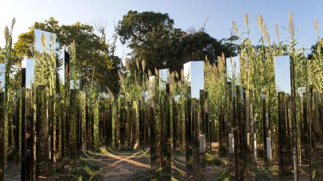 jeppe-hein-fondation-carmignac-1-8.jpg